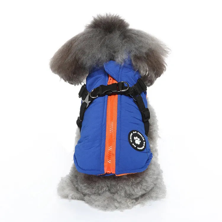 Dog wearing a black insulated chest strap winter coat made of polyester.