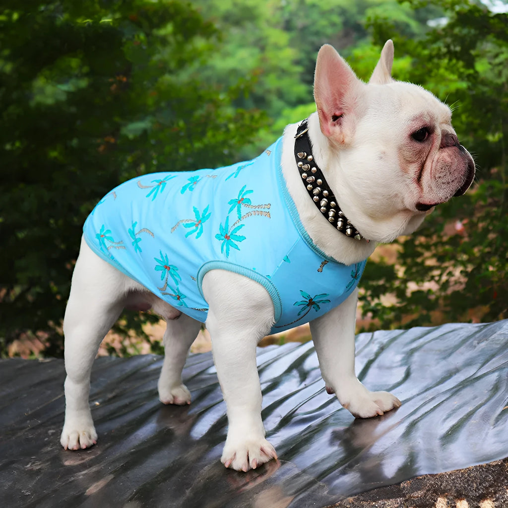 Blue thin cotton summer vest for dogs and cats – casual pet apparel