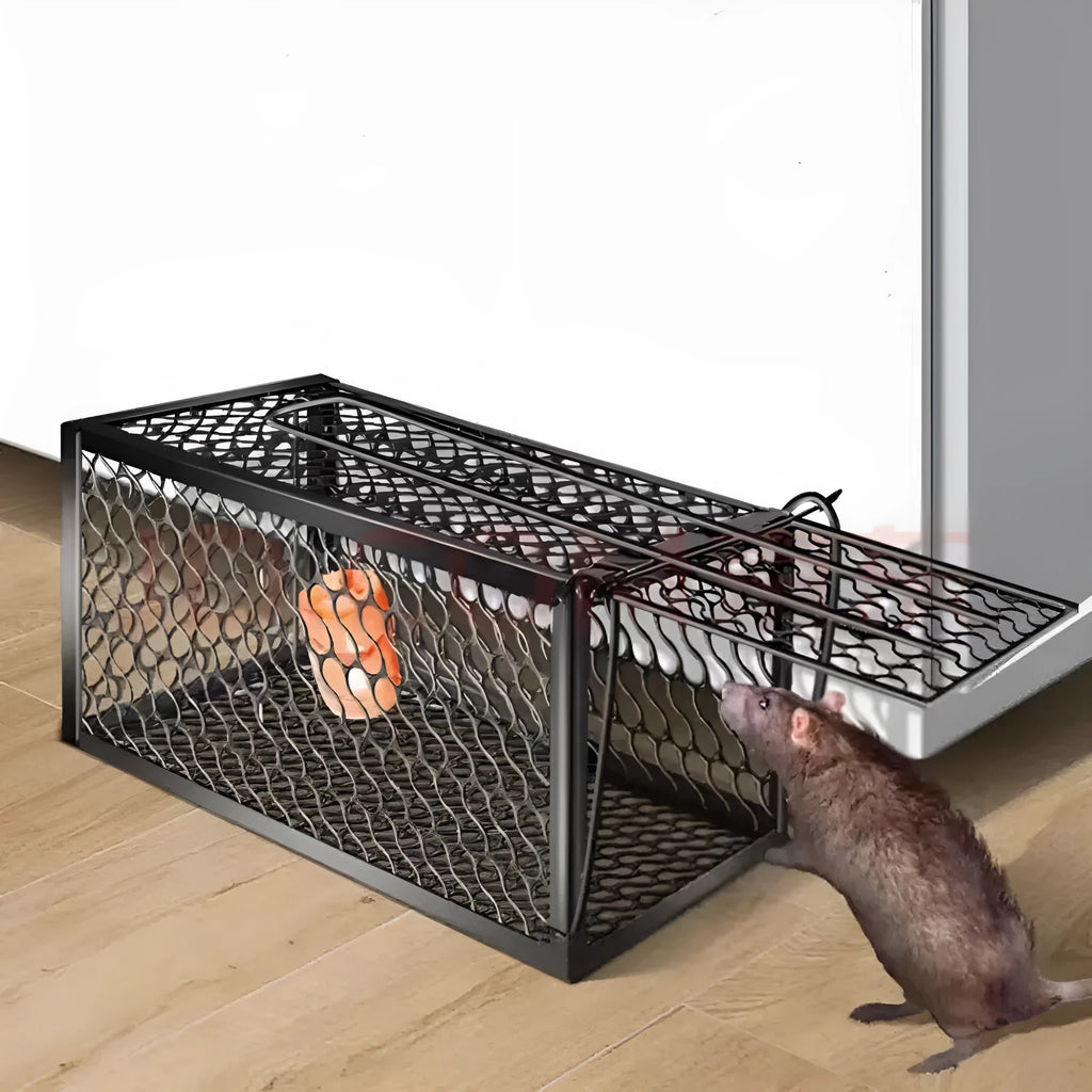 Automatic mouse trap cage for indoor rodent control in plastic construction