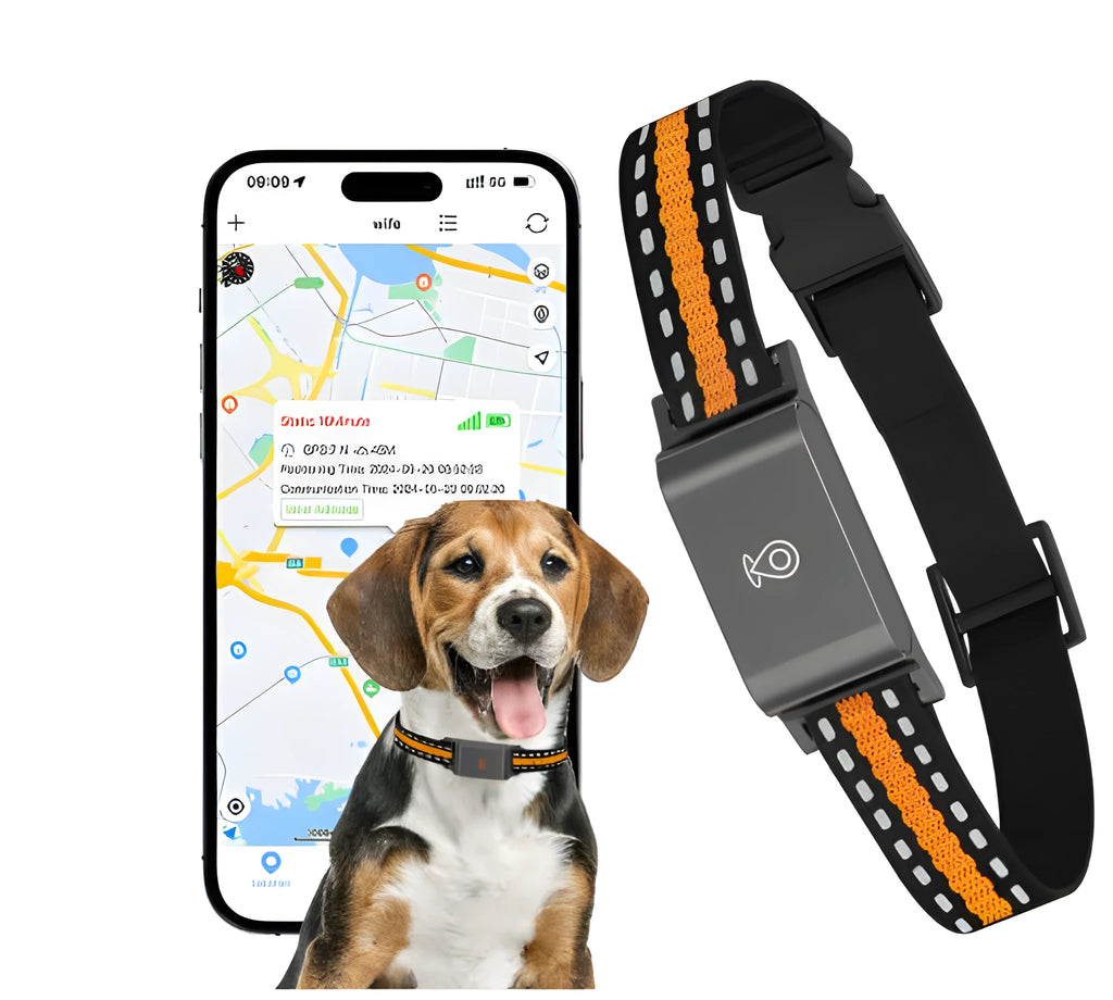 Pet global positioning collar in black and green made from ABS material for dogs and cats