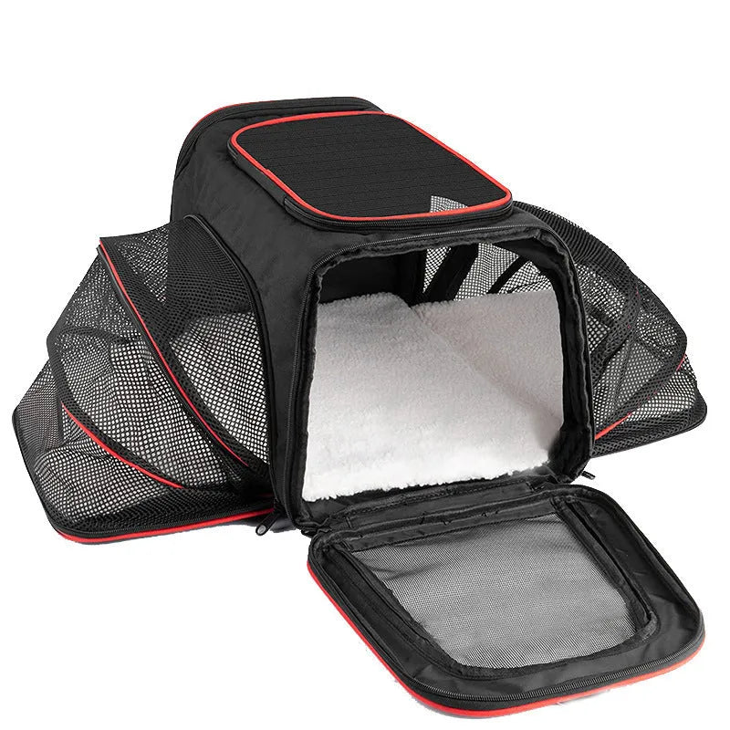 600D cation fabric cat carrier bag in black with red piping, showing medium-soft construction and large capacity design