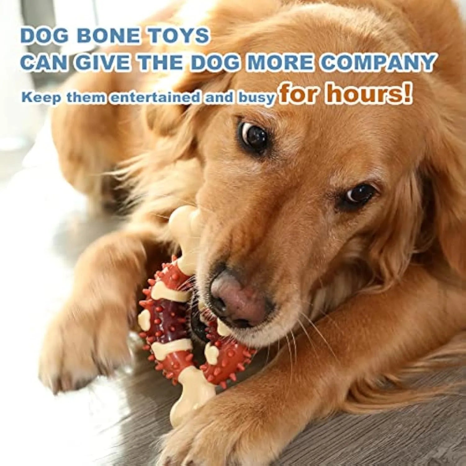 Natural rubber bone-shaped dog dental chew toy in two sizes for teeth cleaning and anxiety relief