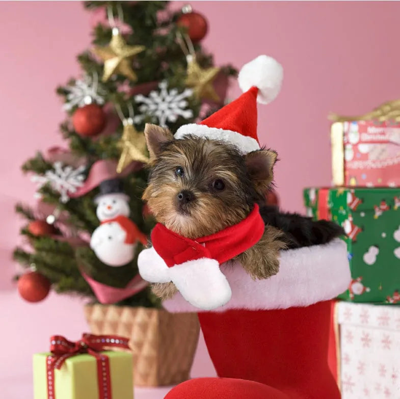 Red Christmas pet hat and scarf set in short plush, one size, for cats dogs and small pets