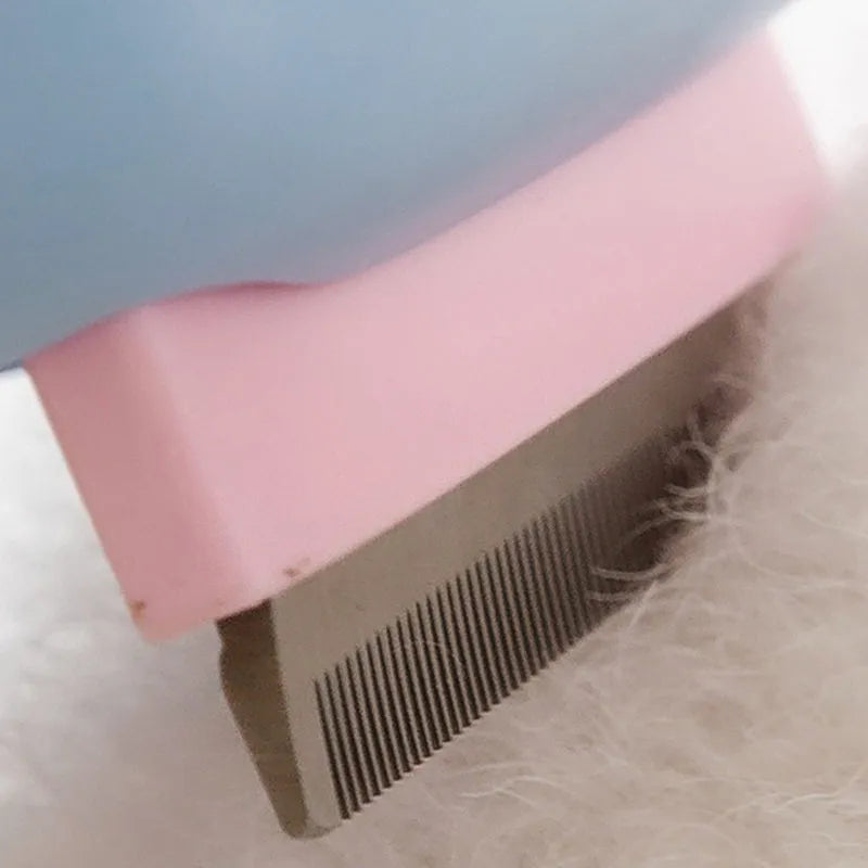 Blue double-sided dog deshedding brush with undercoat rake and dematting comb