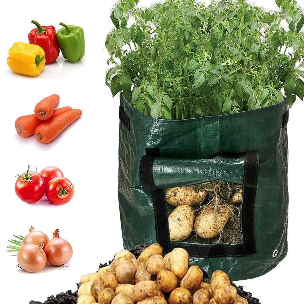 Dark green PE cloth planting bag with side windows and double handles, 34x35cm, for growing potatoes on a balcony.