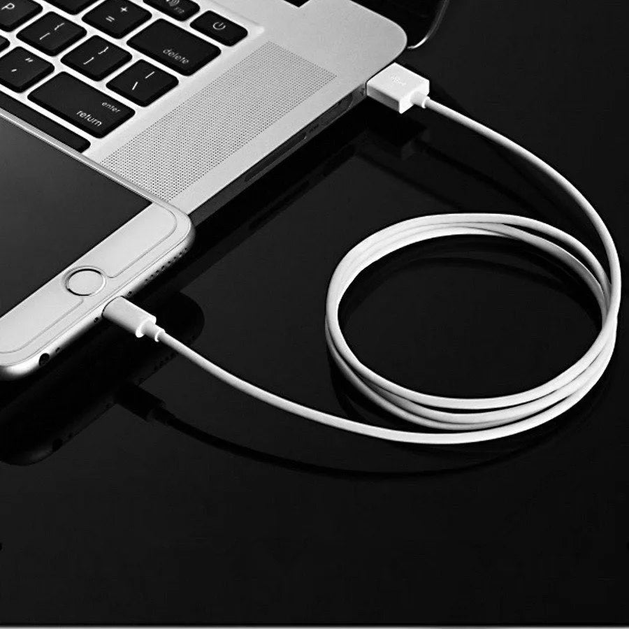 5V 2A USB wall charger with 1 metre cable for iPhone and iPad charging
