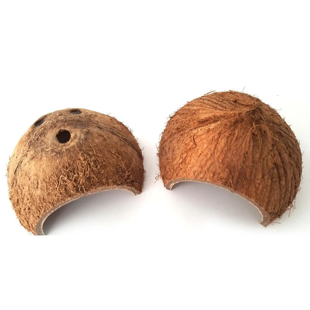 Two natural coconut shell reptile caves with handcrafted texture, 12-14 cm diameter