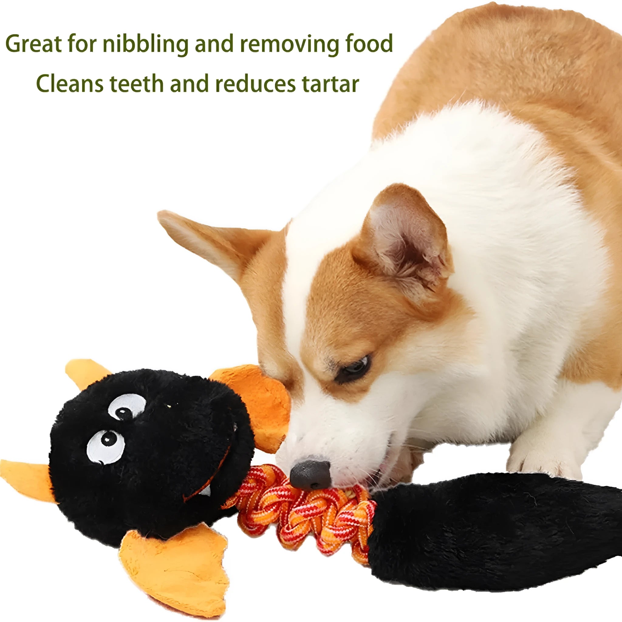 Large black plush dog toy with a rope knot, showing cartoon shape and soft texture.