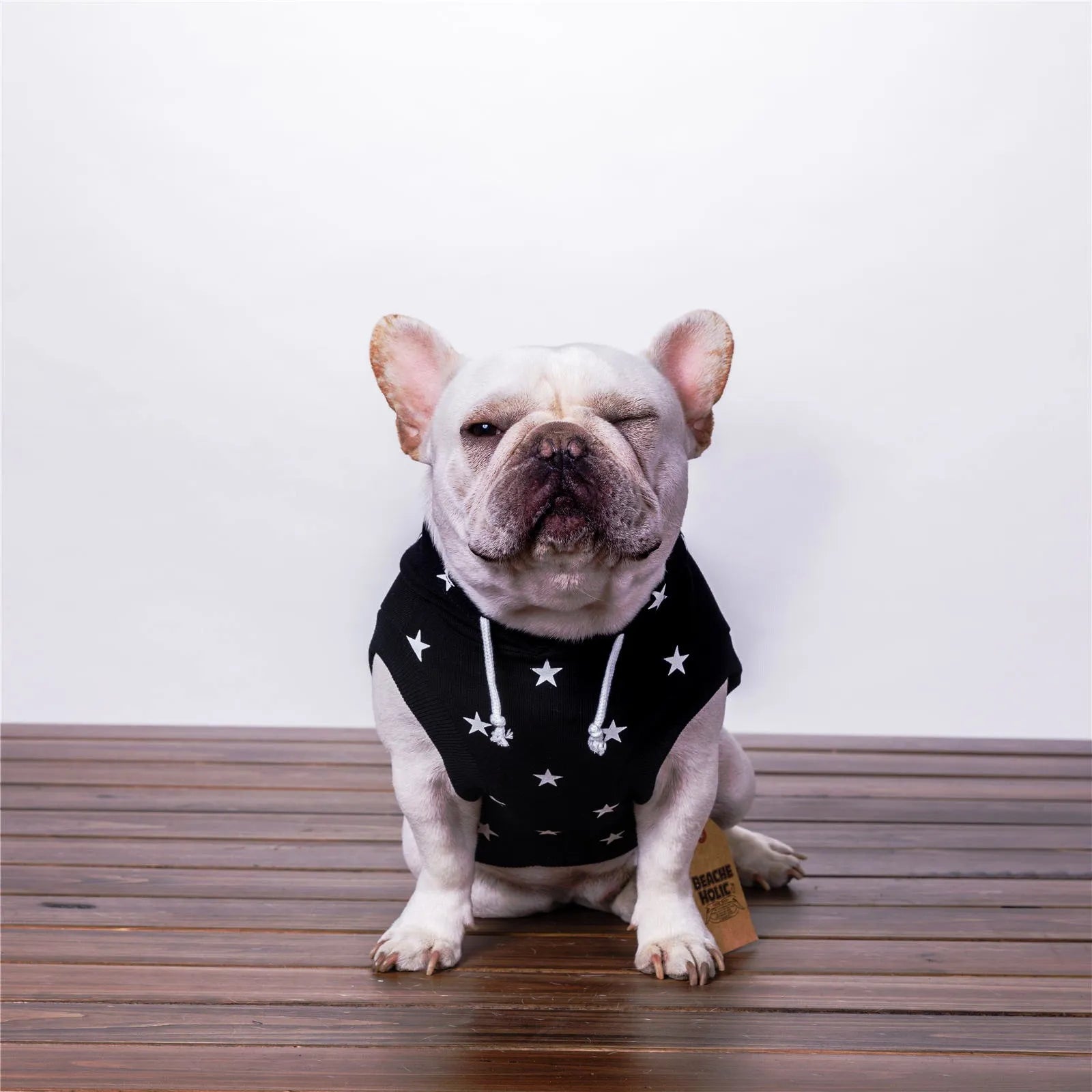 Black printed cotton casual sweater for dogs and cats available in sizes XS to XXL