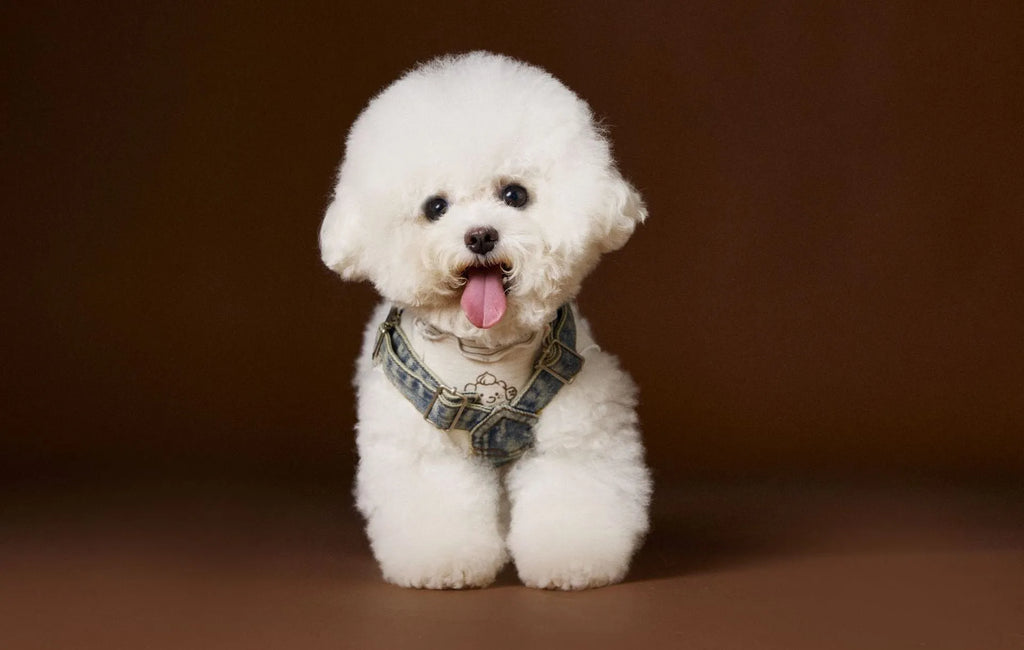 Dog wearing denim suspender skirt sleeveless cotton pet clothing for small and medium breeds