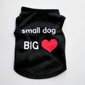 Polyester puppy summer vest for small dogs and cats in XS to L, 13 colour and motif options including Dragon and Rose Crown