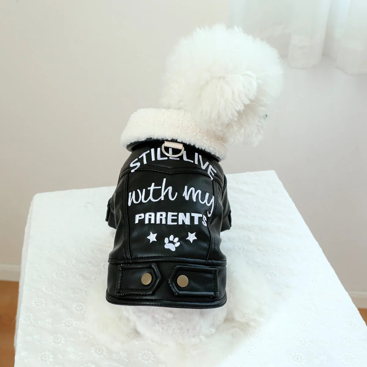 Fleece lined padded dog coat in beige on a small dog, showing polyester outer and secure chest fastening