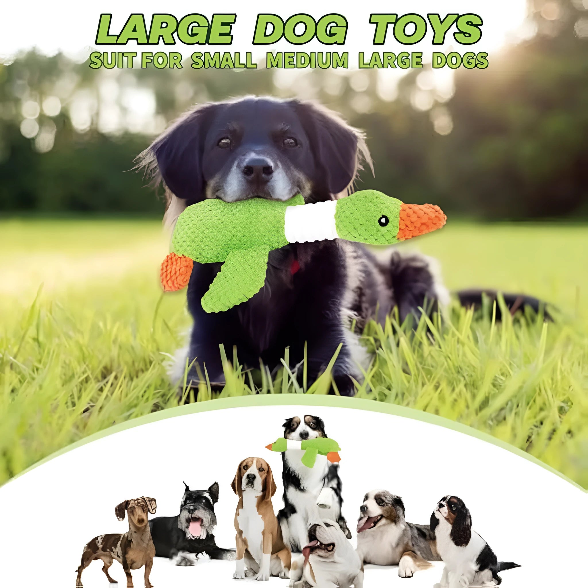 Blue, green, or grey plush duck dog toy with two squeakers for large dogs.