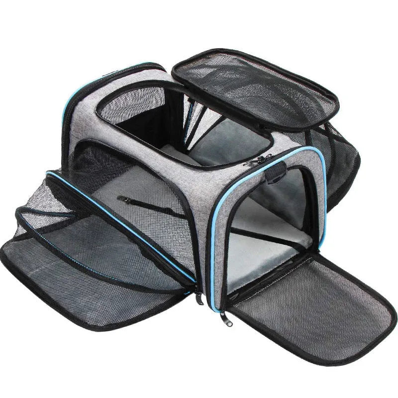 600D cation fabric cat carrier bag in black with red piping, showing medium-soft construction and large capacity design