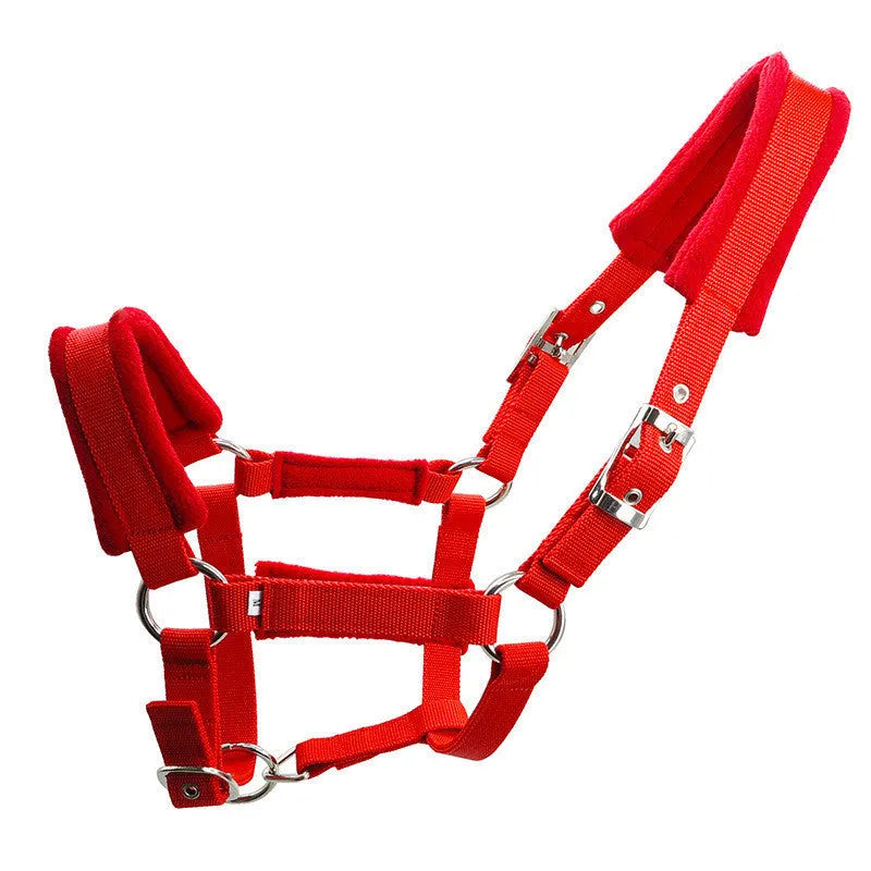 25mm wide PP braid metal horse faucet with lacelock in red colour for watering