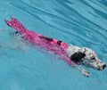 Mermaid shark dog life vest for small and large dogs in polyester with adjustable straps