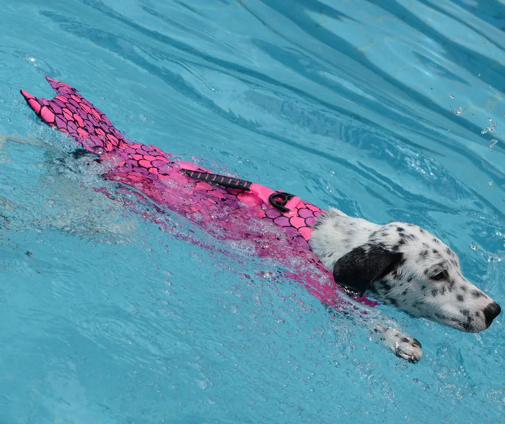 Mermaid shark dog life vest for small and large dogs in polyester with adjustable straps