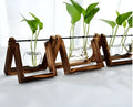 Glass tabletop plant ornament with green foliage look for home or office display, available in One, Double, Triple or Set