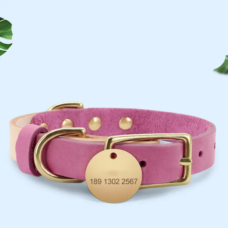 Leather cat collar in green, rose red, orange, purple or yellow with adjustable S or M size and optional lettering plate.