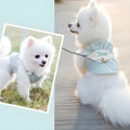 Breathable dog harness vest with lead on a small dog, available in multiple colours and sizes S-XXL for small to medium pets