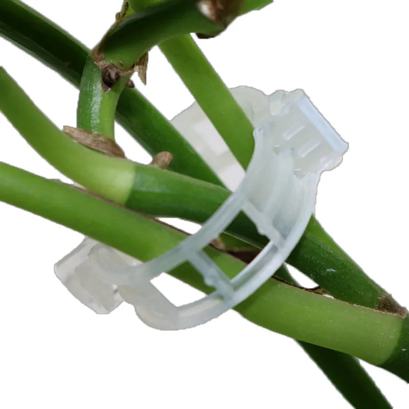 Plastic plant grafting clips in a pack of 50 pieces for garden use.