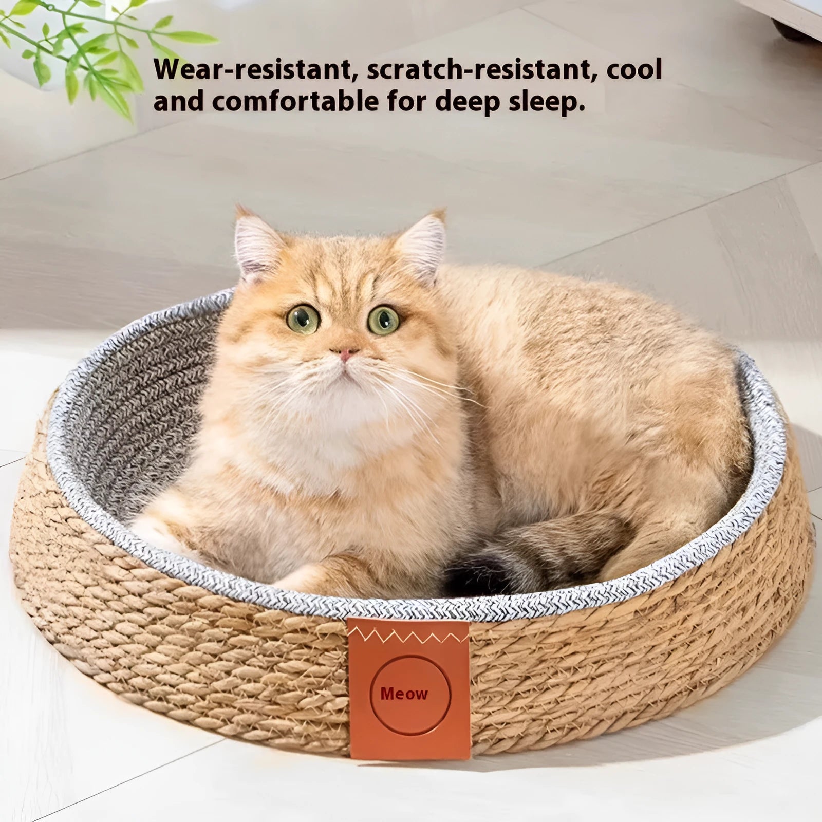 Natural rattan woven cat nest in four different sizes for indoor pet sleeping