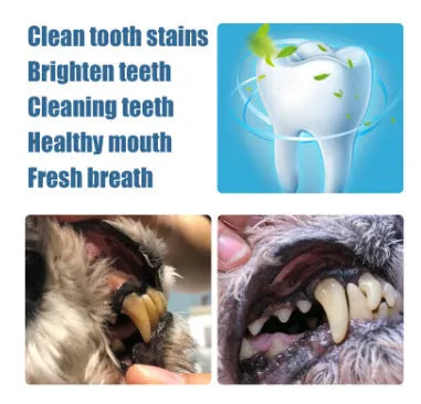 Yegbong pet teeth whitening pen kit with two 3ml pens and two dental brushes.