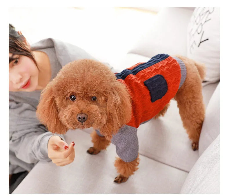 Blue cotton pullover dog sweater on a small breed dog, shown against a neutral background