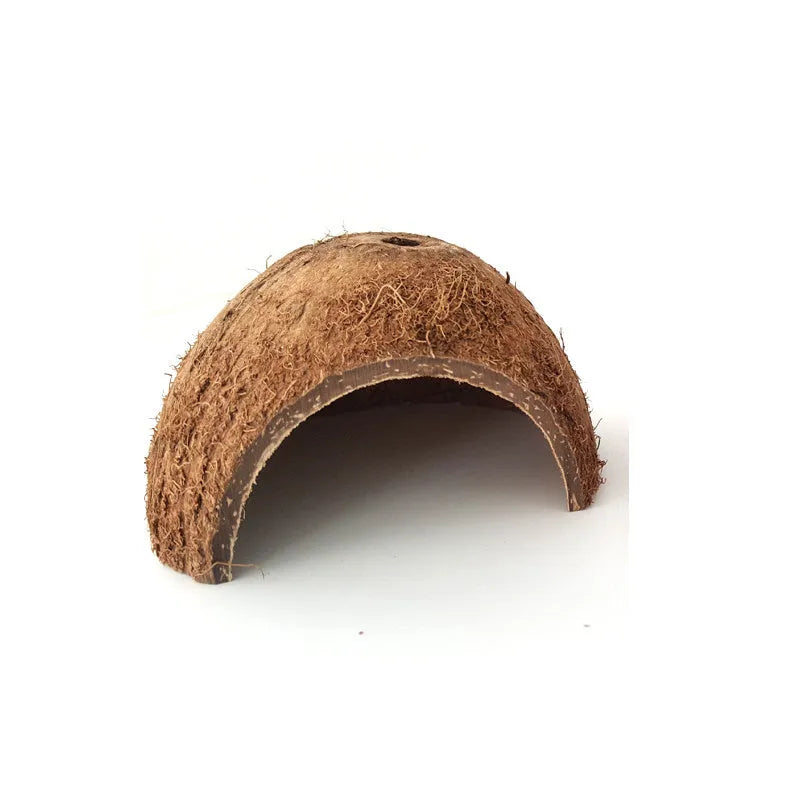 Two natural coconut shell reptile caves with handcrafted texture, 12-14 cm diameter