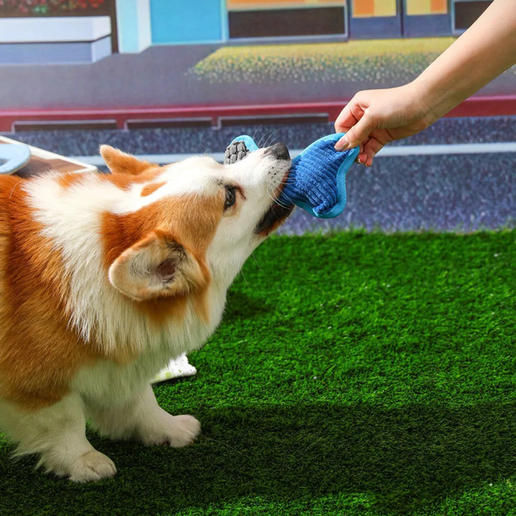 Blue bite-resistant teddy dog toy with a squeaker bone and soft corn fleece lining