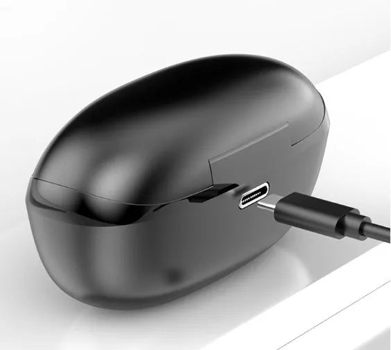 Black and white wireless Bluetooth in-ear headphones with type-C charging case