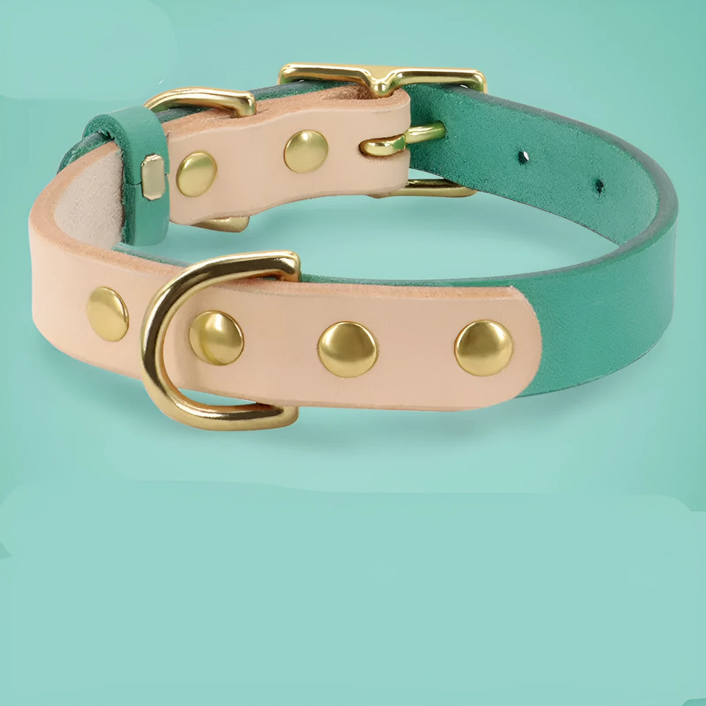 Leather cat collar in green, rose red, orange, purple or yellow with adjustable S or M size and optional lettering plate.