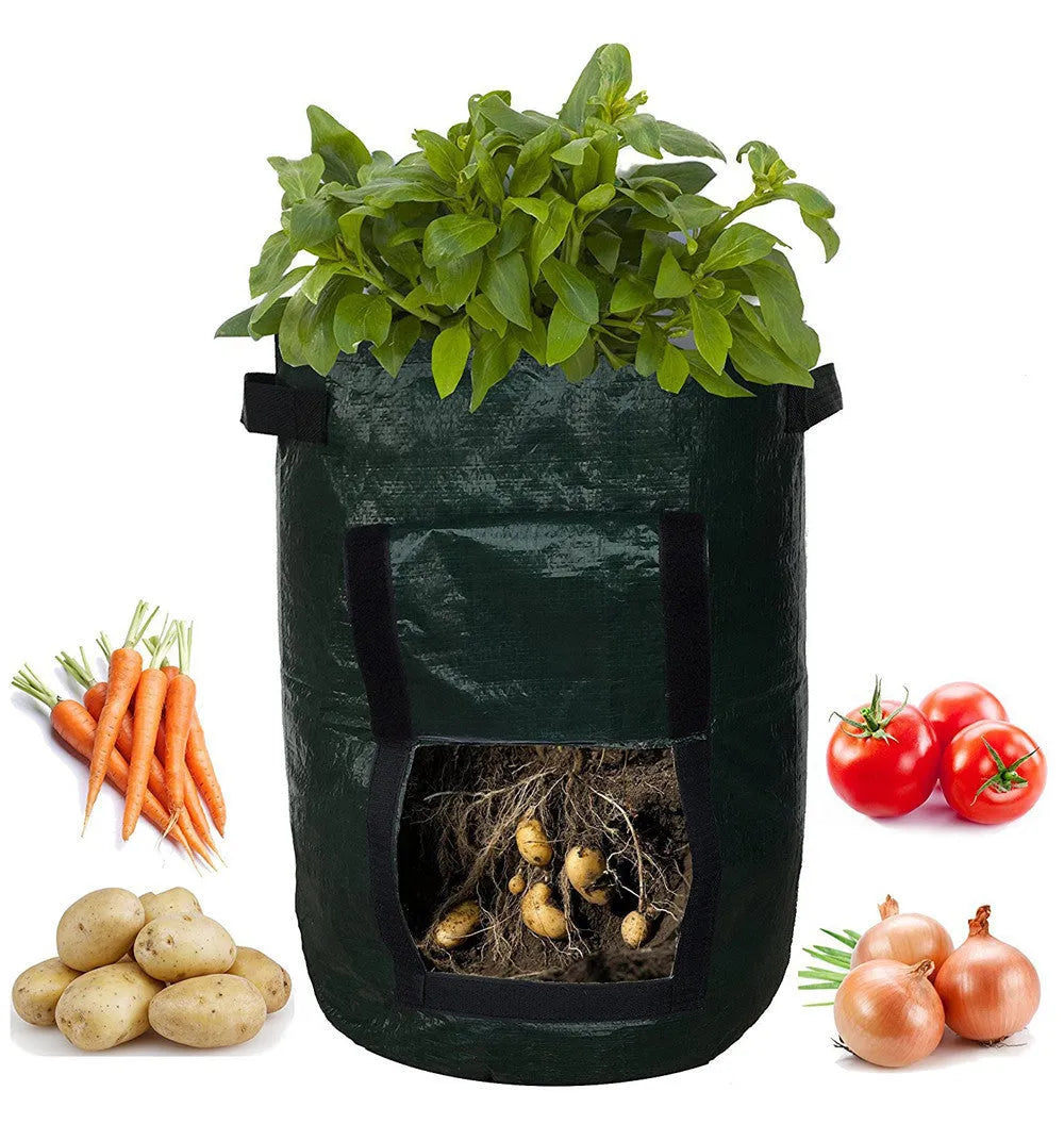 Dark green PE cloth planting bag with side windows and double handles, 34x35cm, for growing potatoes on a balcony.