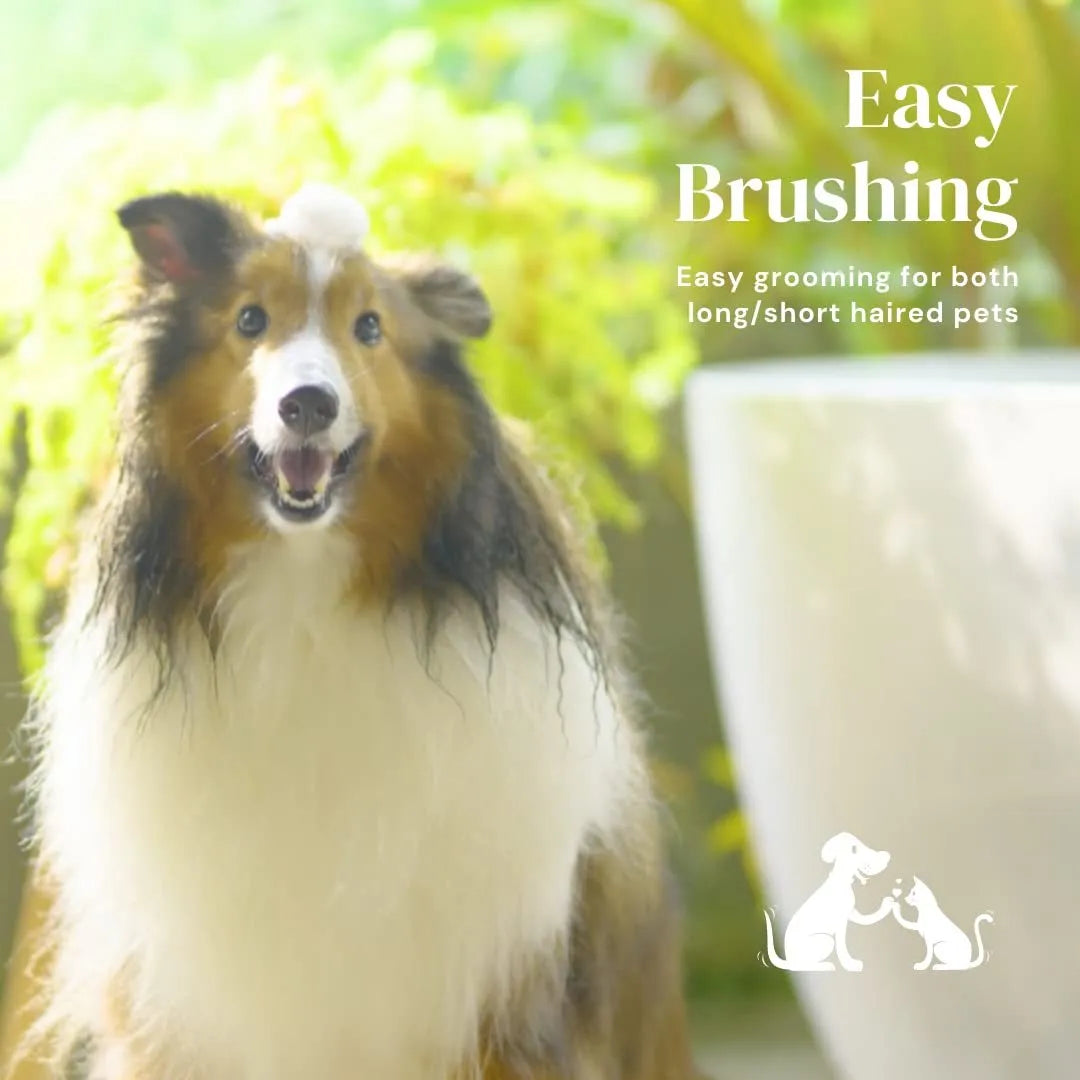 Blue self-cleaning slicker brush for pet grooming with ergonomic rubber handle