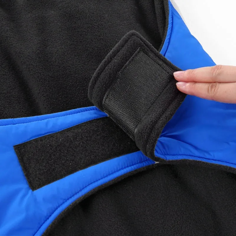 Reflective polyester dog coat in blue for large breeds, shown on a dog with safety strips visible
