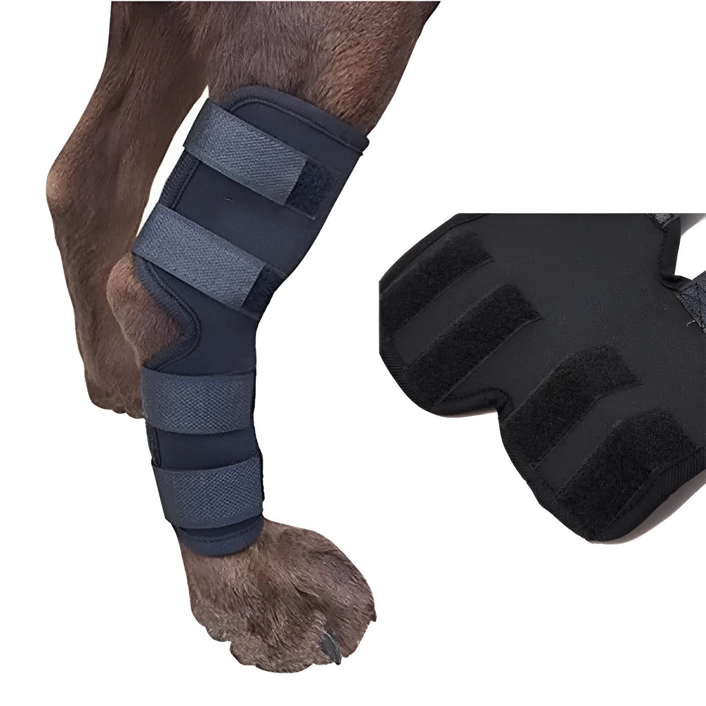 Dog leg brace support wraps in black, blue, and red for injury recovery and wound protection