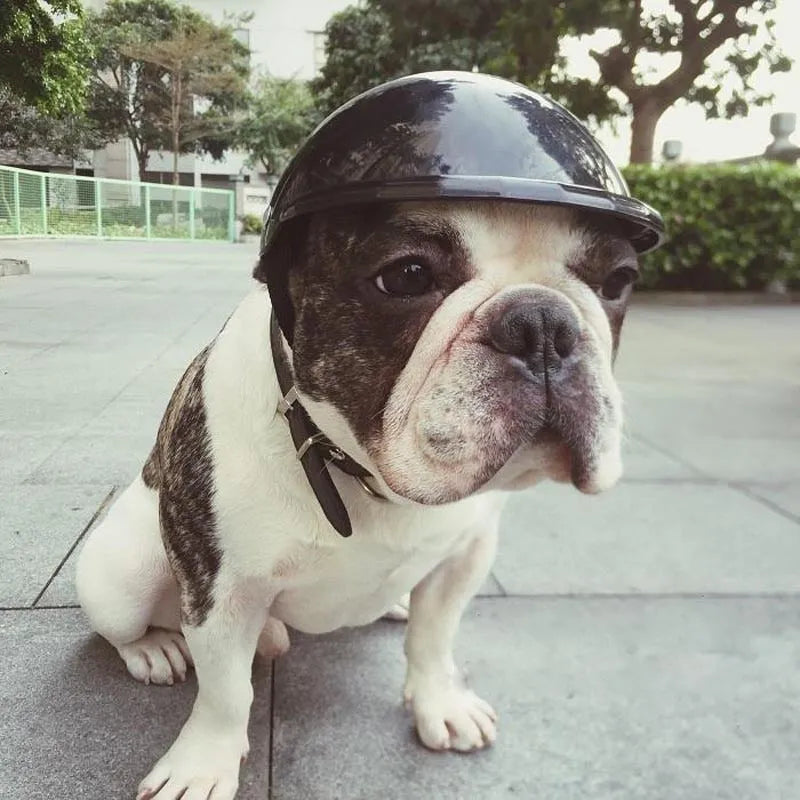 ABS pet toy helmet in black with rivet link belt and sponge pad inside, shown in size S, M or L