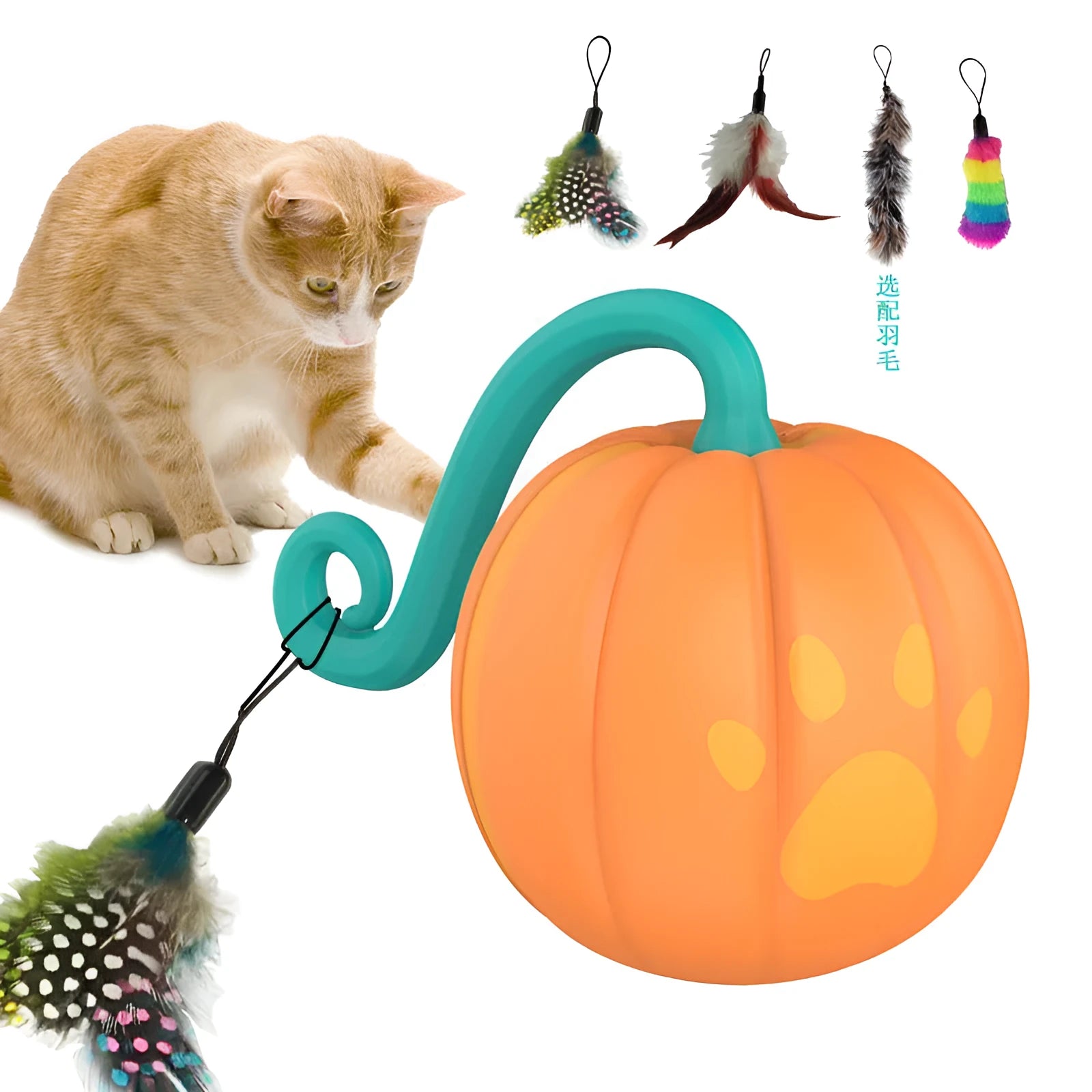 Electric cat toy with luminous ball in watermelon or pumpkin colour design