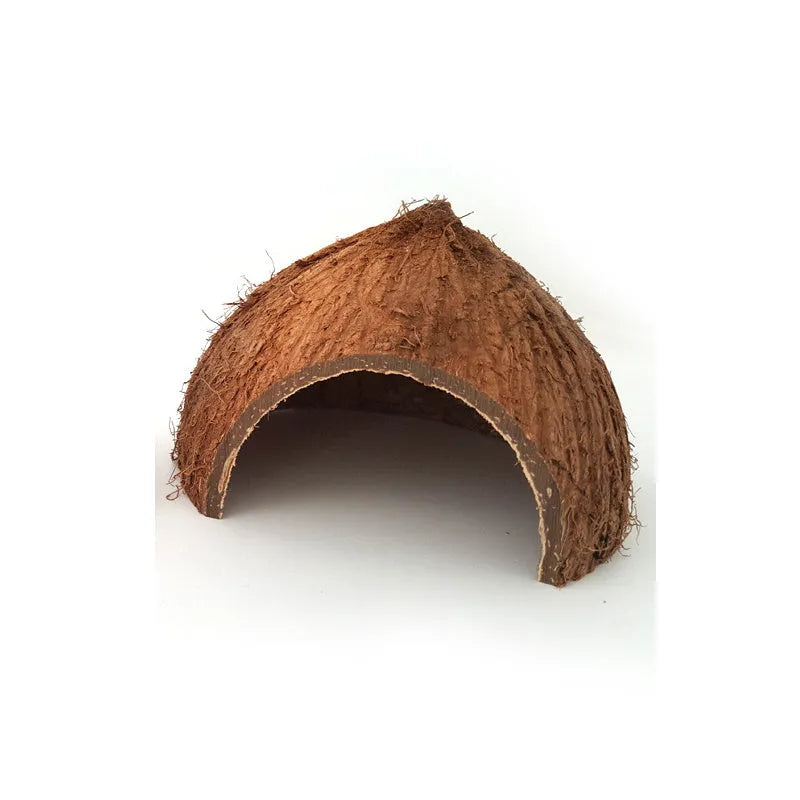 Two natural coconut shell reptile caves with handcrafted texture, 12-14 cm diameter