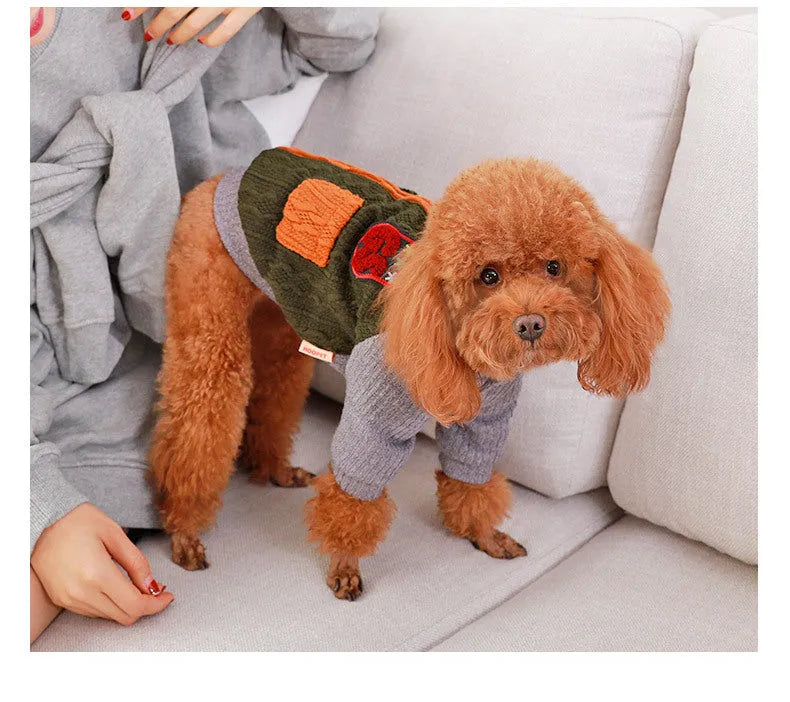 Blue cotton pullover dog sweater on a small breed dog, shown against a neutral background