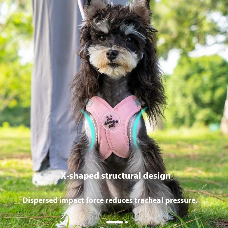 A blue polyester dog vest harness connected to a matching hand-held leash.