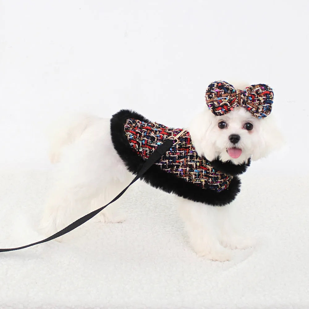 Dog wearing a classic-style cloth cloak chest strap with an attached hand holding rope, shown in beret design.
