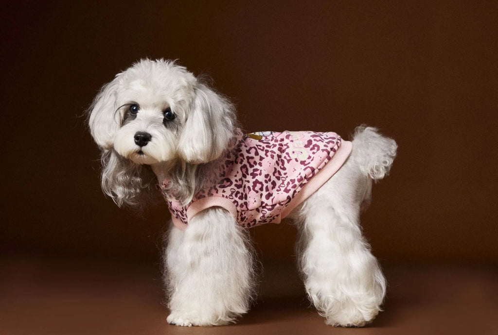 Leopard print sleeveless hooded dog sweater in coffee colour on small breed dog