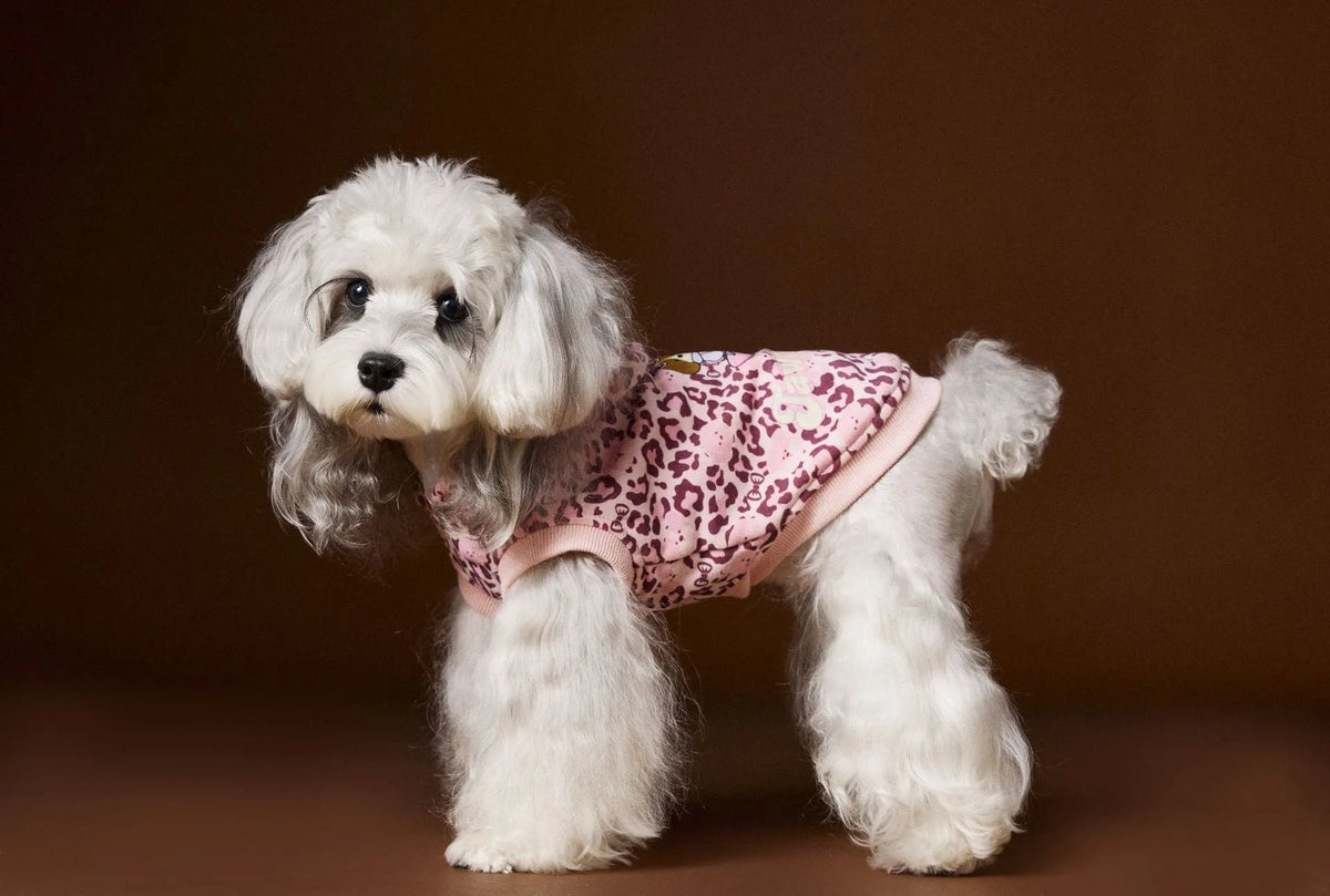 Leopard print sleeveless hooded dog sweater in coffee colour on small breed dog