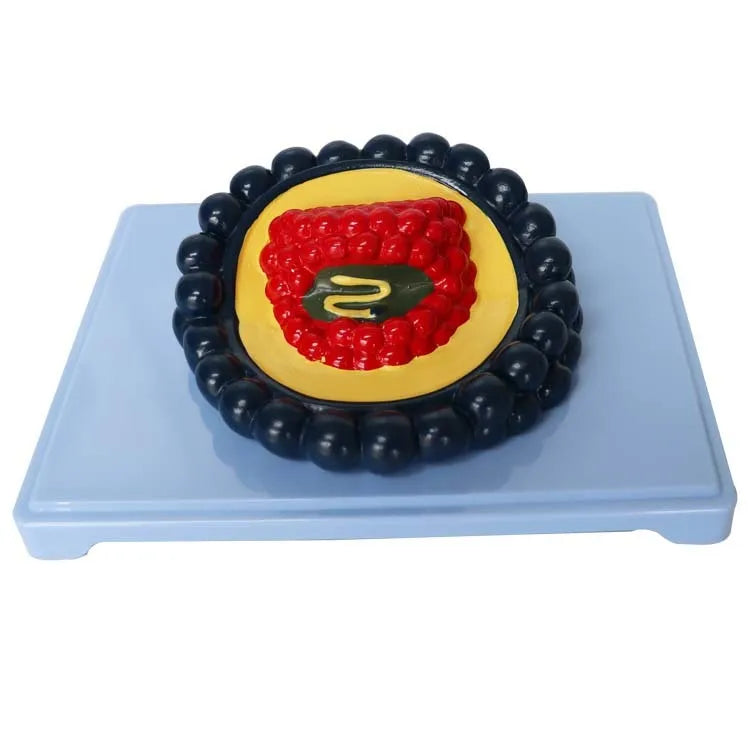 Black PVC biological virus model for medical education, 20cm long.