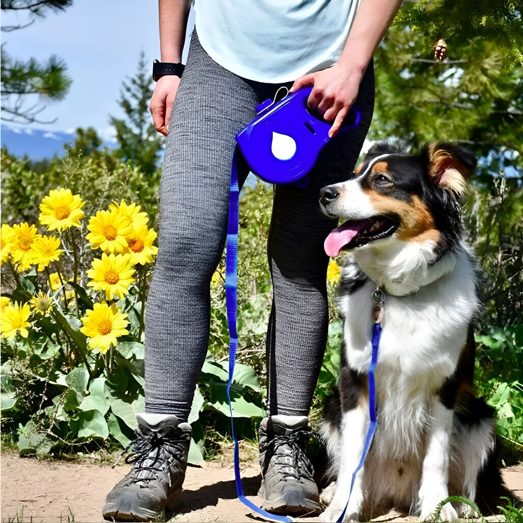 Retractable dog lead in blue, black or red with silicone folding bowl, 22x16x5.5cm