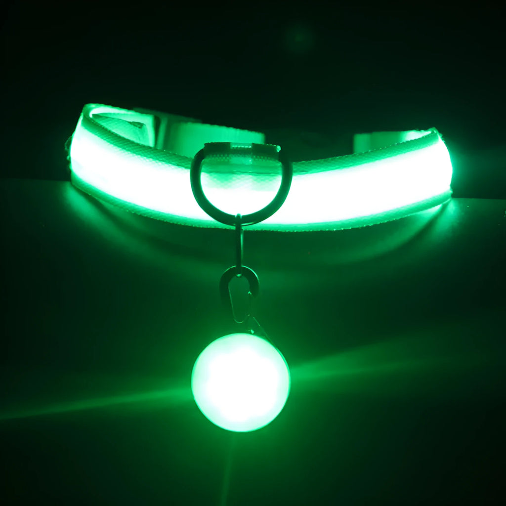 Luminous elastic dog collar with three flashing modes, available in six colours and sizes XS to XXL