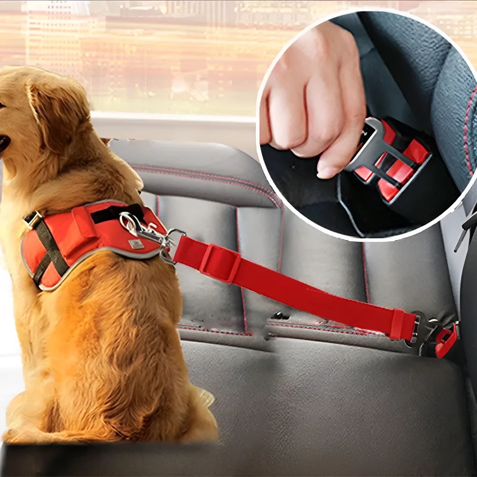 Dog traction belt in black with ABS housing and fixed-length telescopic rope