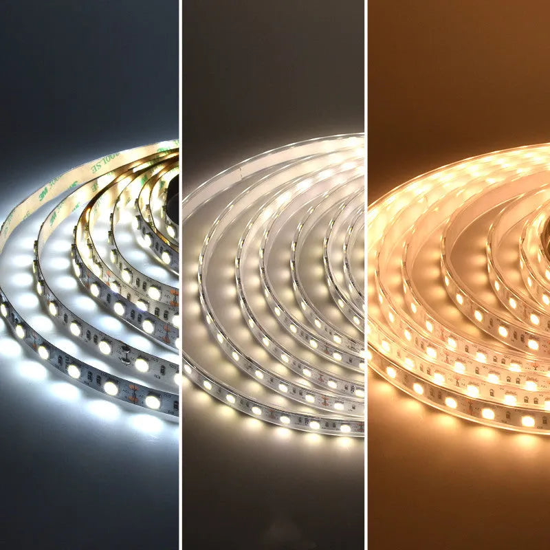 Close-up of a flexible 12V LED light strip with closely spaced white LEDs, shown on a retail shelf.