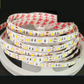 Close-up of a flexible 12V LED light strip with closely spaced white LEDs, shown on a retail shelf.